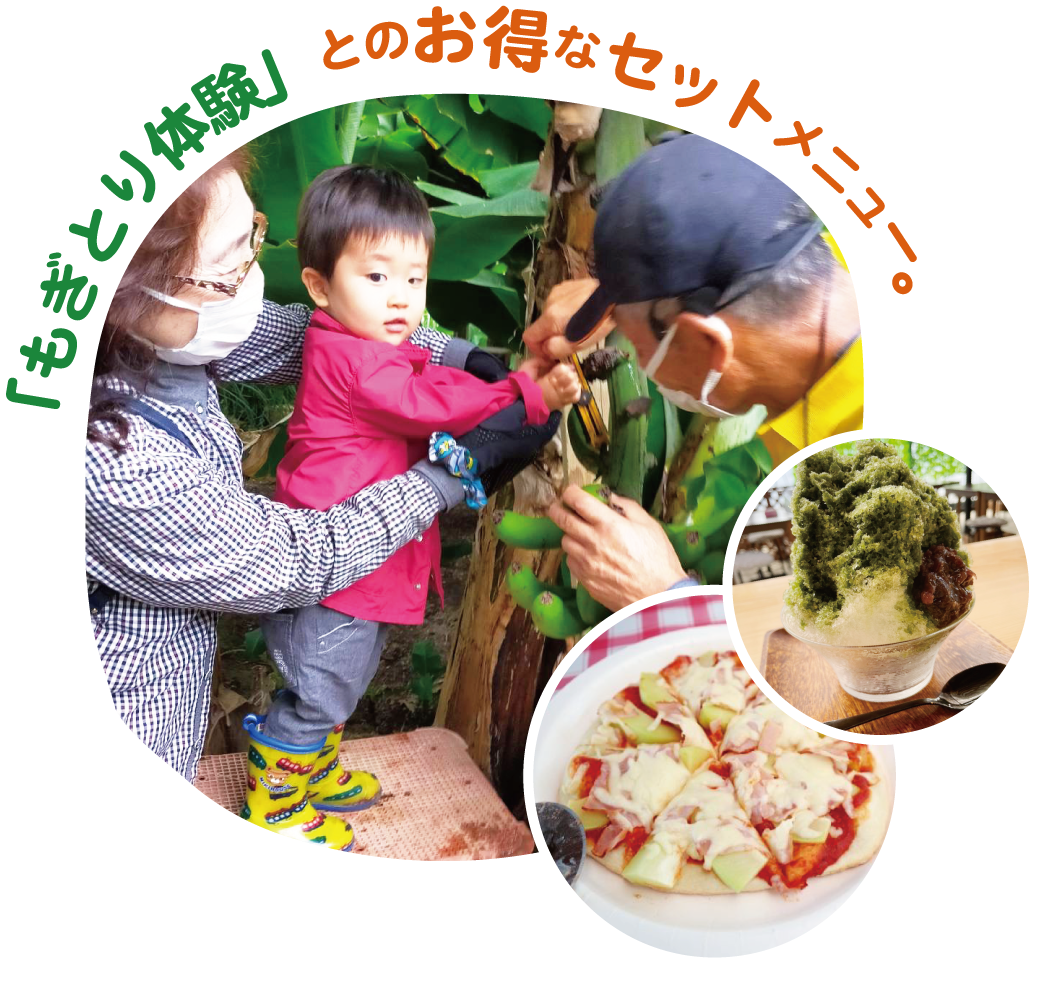 もぎとり体験とワッフルセット