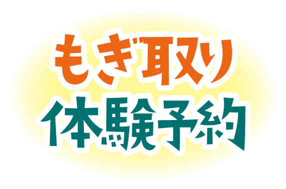 もぎとり体験