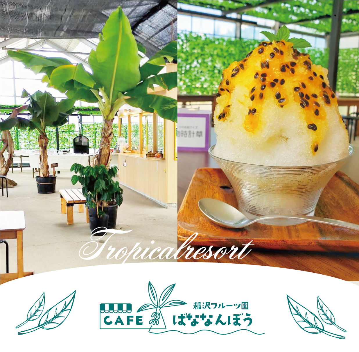 東海地方かき氷