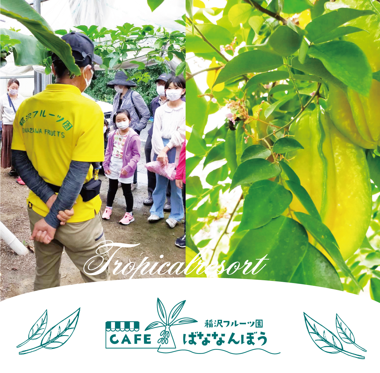 季節のフルーツ盛り