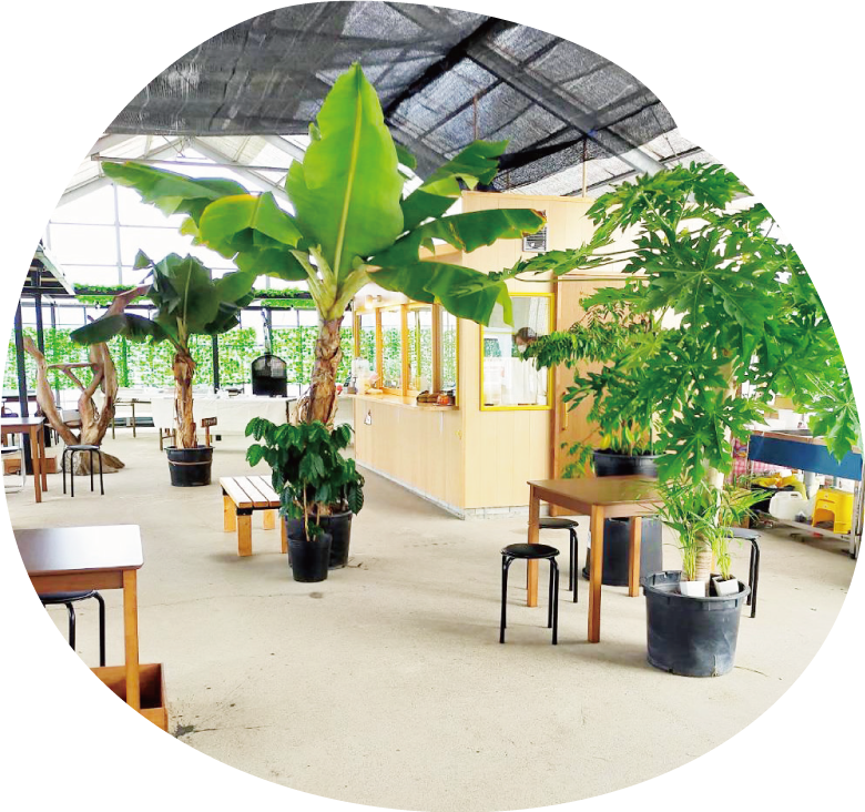 こだわりの店内インテリアは南国をイメージ