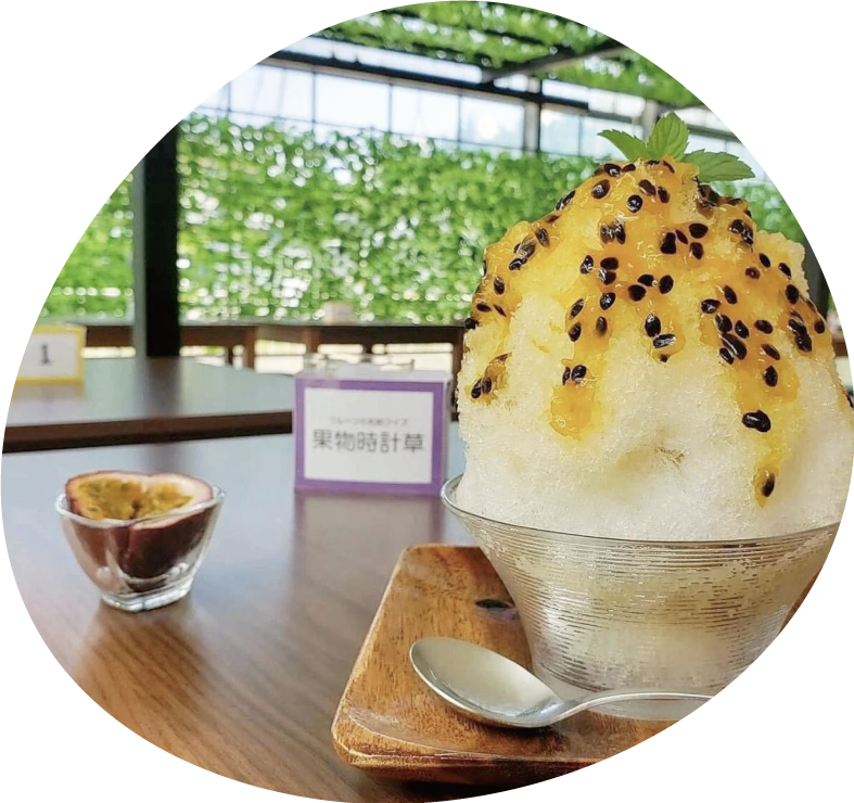 ハロウィンパーティは稲沢フルーツ園