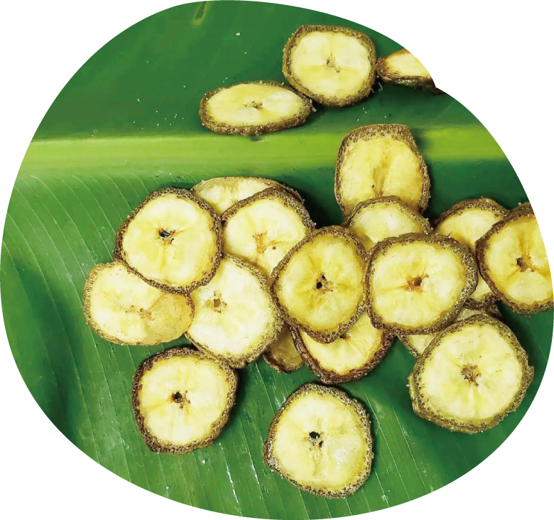 こだわりの専用ハウス栽培