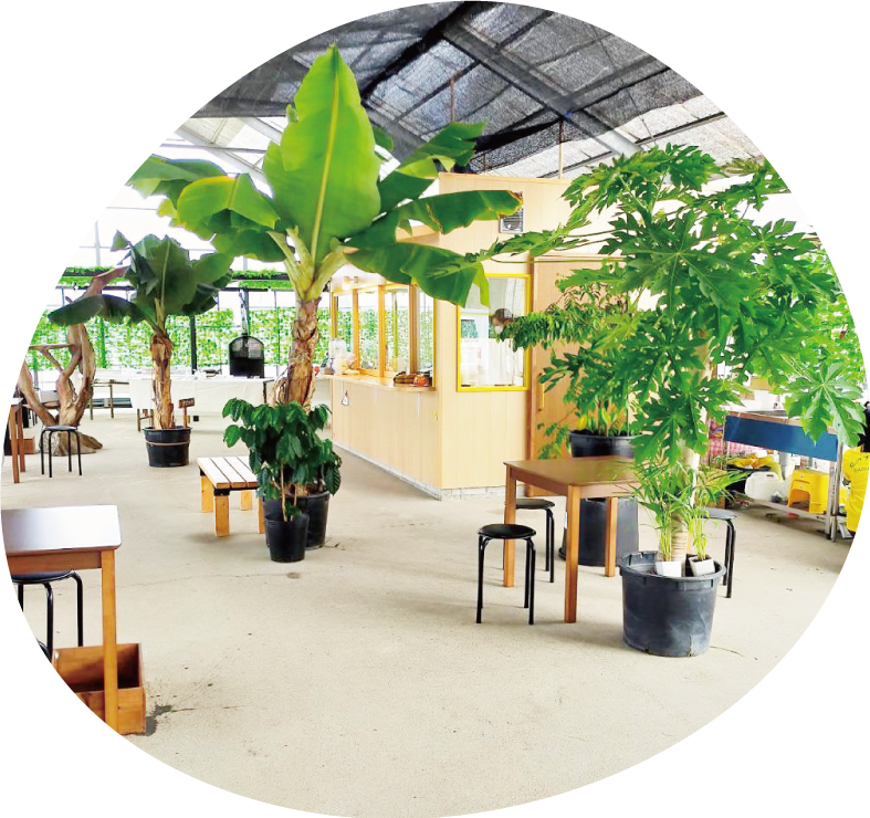 もぎ取り体験、ぜひご来園ください。