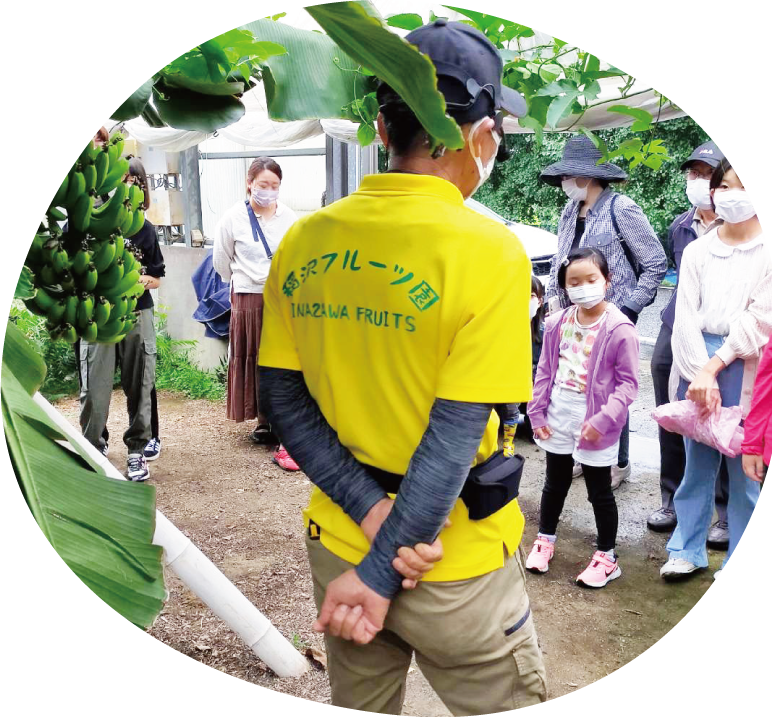 バナナの森へジャングル探検に出かけよう