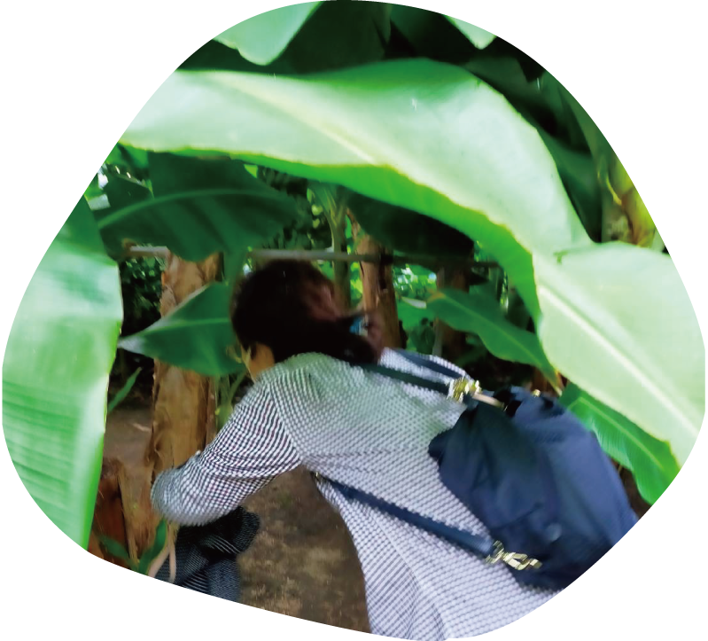 季節ごとに色々なフルーツを楽しめます