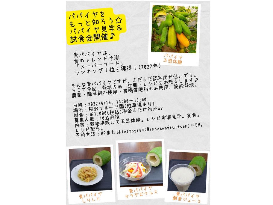 パパイヤを知ろう