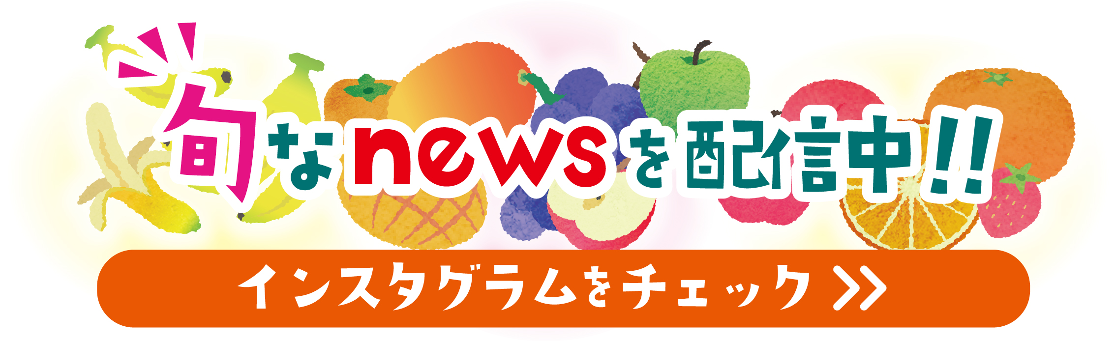 インスタグラムをチェック!!
