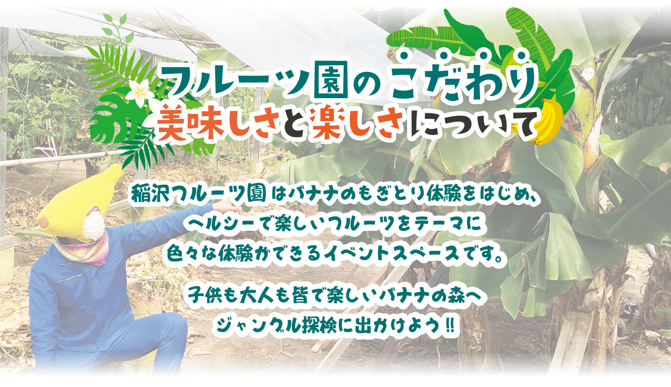 フルーツ園のこだわり美味しさと楽しさ