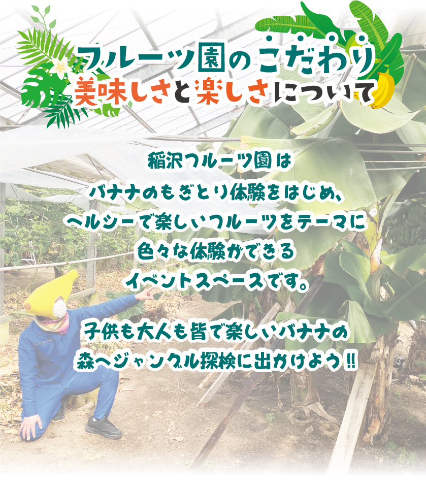 バナナもぎ取り体験のこだわり、フルーツカフェのこだわり