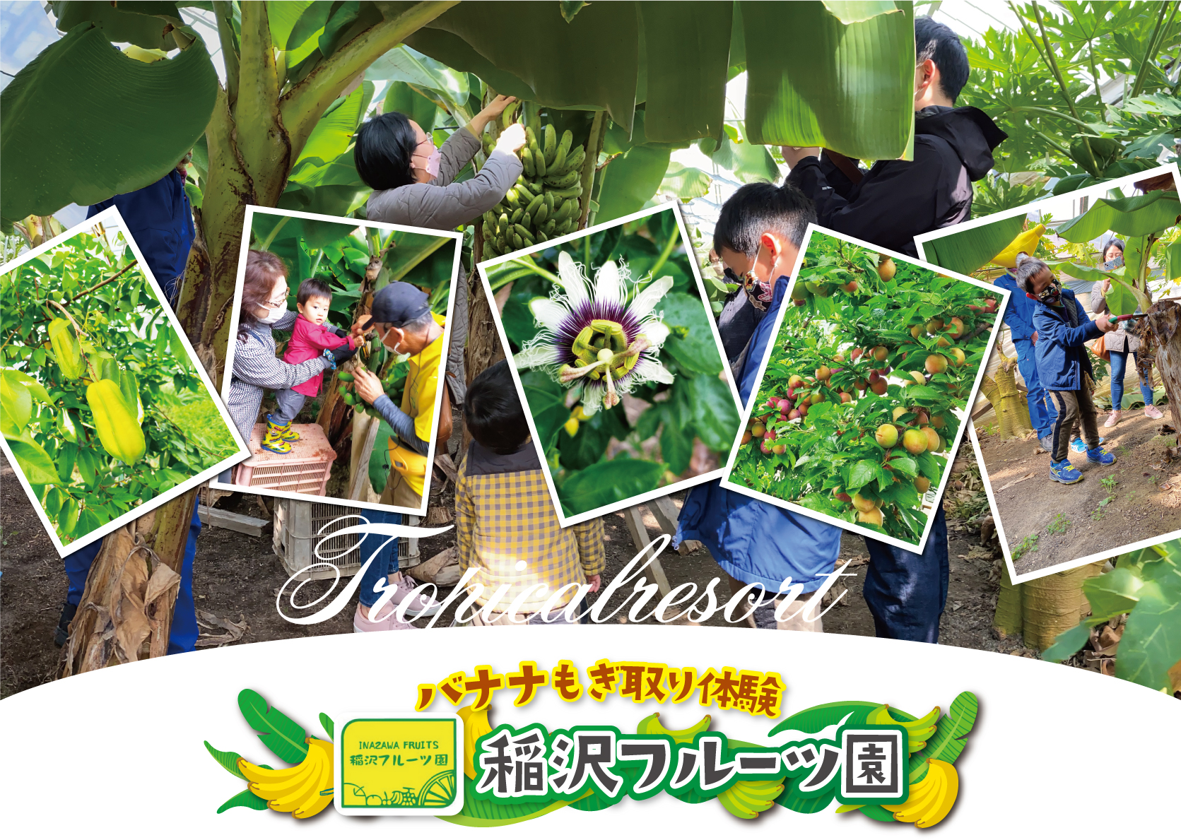 いちご以外のフルーツ狩り