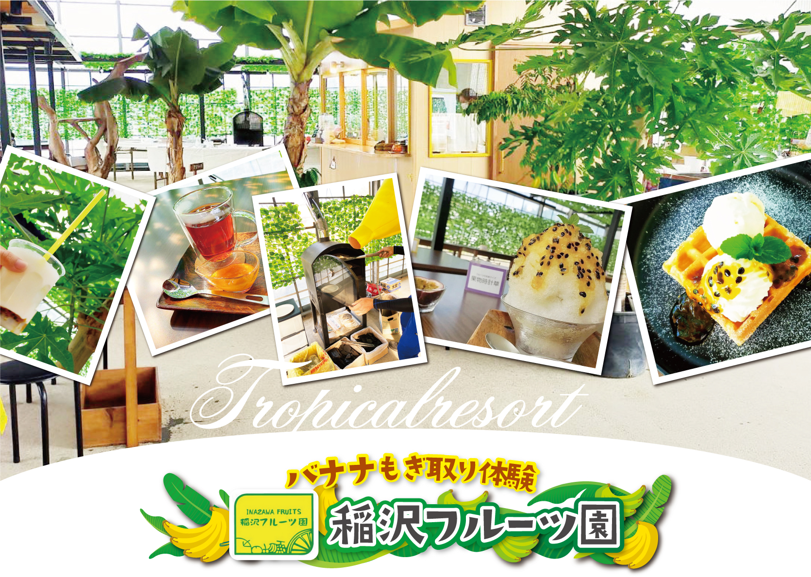 稲沢フルーツ園イチゴ狩り以外のフルーツ狩り