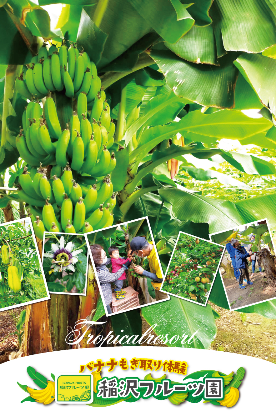 フルーツカフェばななんぼう