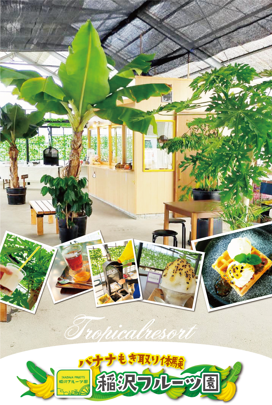 バナナジャングルに出かけよう